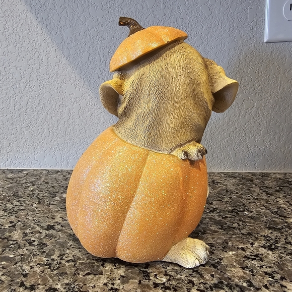 Very Cute Puppy in a Jack-o-Lantern - Excellent Condition - Picture 4 of 5